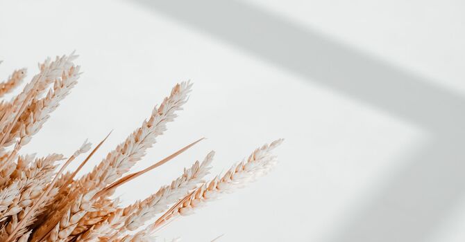 XERF Skin Tightening in Calgary: A Non-Surgical Way to Look Firmer and More Lifted image