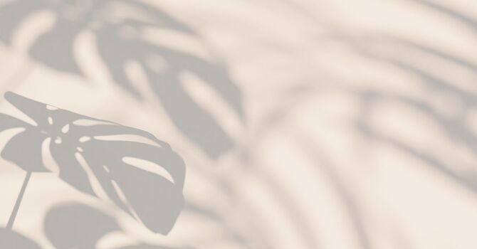 XERF Skin Tightening in Calgary: A Non-Surgical Way to Look Firmer and More Lifted image